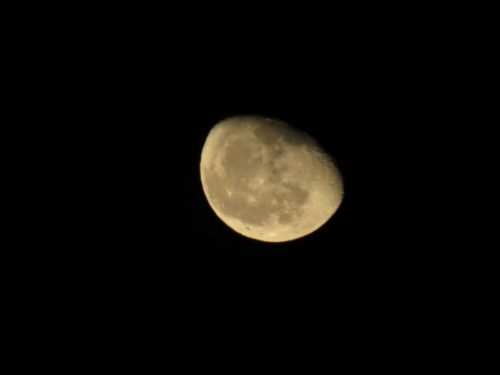 img_0087
