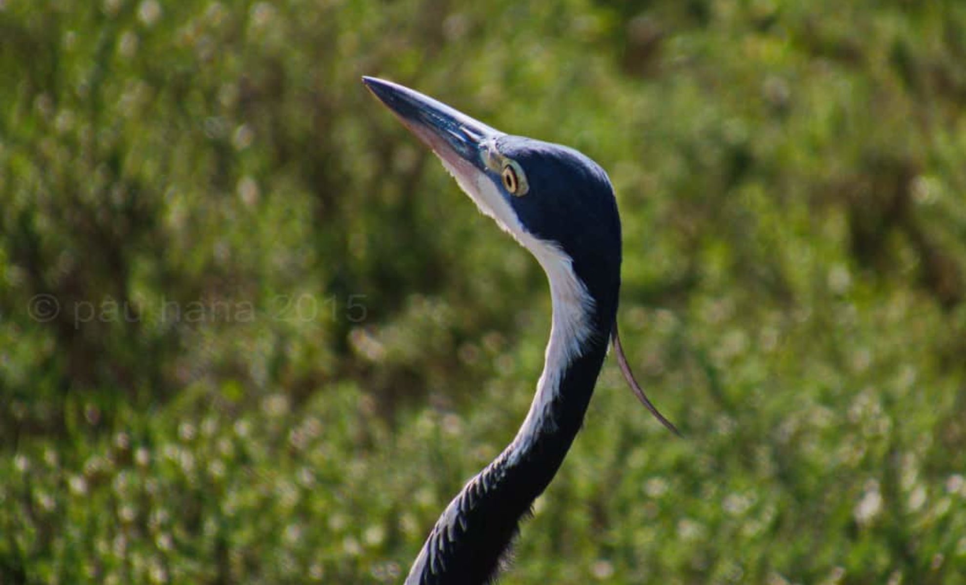 aimg_2029