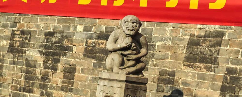 Pingyao 253 Pingyao 253