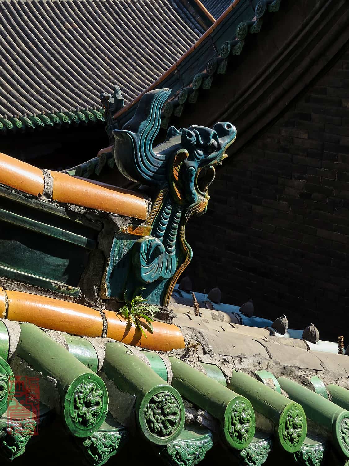 Pingyao 273