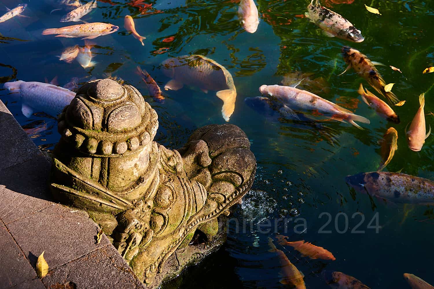 2019 Indo Blog 1258